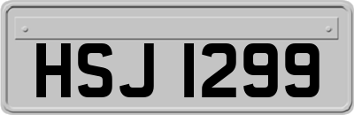 HSJ1299