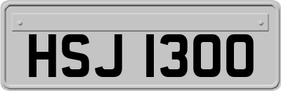 HSJ1300