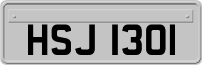 HSJ1301