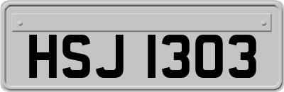 HSJ1303