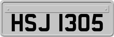 HSJ1305