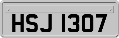 HSJ1307