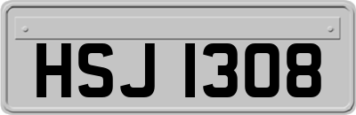 HSJ1308