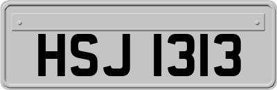 HSJ1313