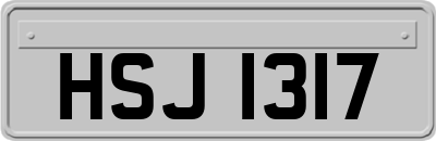 HSJ1317