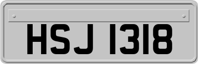 HSJ1318