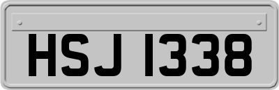 HSJ1338
