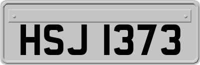 HSJ1373