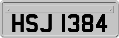 HSJ1384