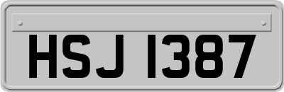 HSJ1387
