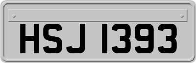 HSJ1393