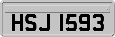 HSJ1593
