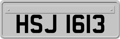 HSJ1613