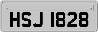 HSJ1828