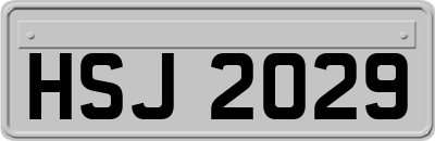 HSJ2029