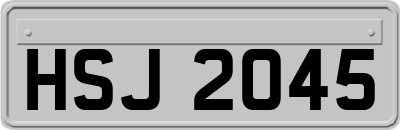 HSJ2045