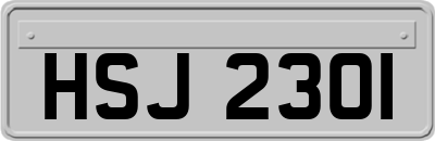 HSJ2301