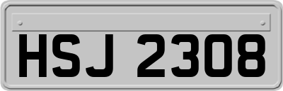 HSJ2308