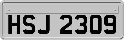 HSJ2309