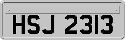 HSJ2313
