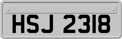 HSJ2318