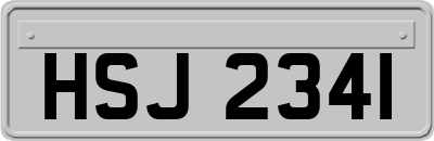 HSJ2341