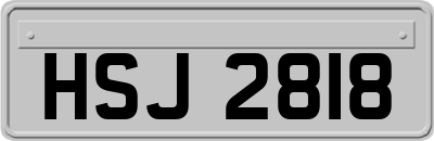 HSJ2818