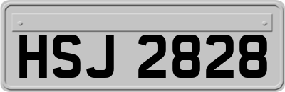HSJ2828