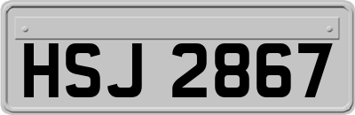 HSJ2867