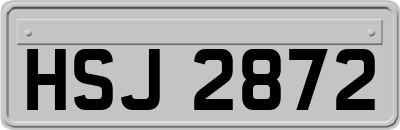 HSJ2872