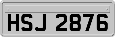 HSJ2876