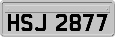 HSJ2877