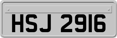 HSJ2916
