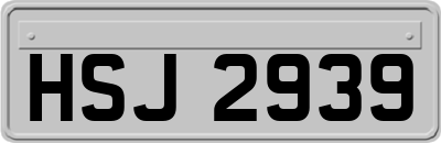 HSJ2939
