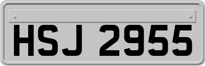HSJ2955