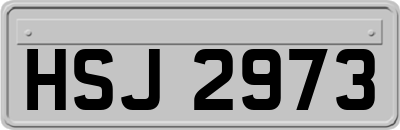 HSJ2973