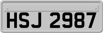 HSJ2987