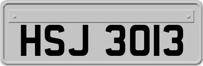 HSJ3013