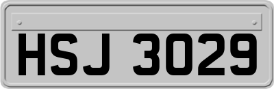 HSJ3029