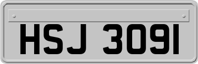 HSJ3091