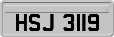 HSJ3119