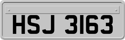 HSJ3163