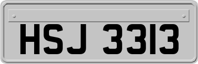 HSJ3313