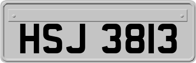 HSJ3813