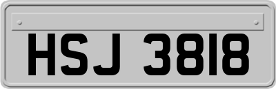HSJ3818