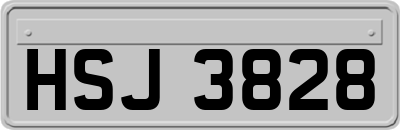 HSJ3828