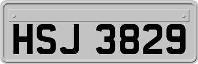 HSJ3829