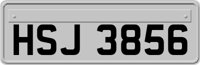 HSJ3856