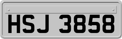 HSJ3858