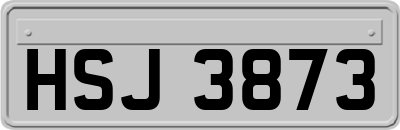 HSJ3873